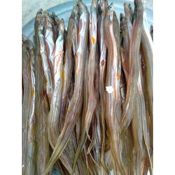 khô cá lãi trứng