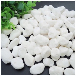 - sỏi trắng trang trí tiểu cảnh - 500gr