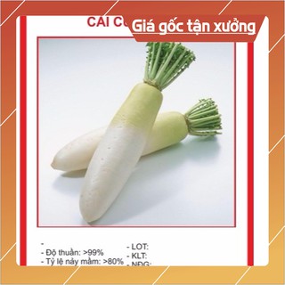 Hạt Giống Củ Cải Trắng (Ngọt) 20gr Hạt giống