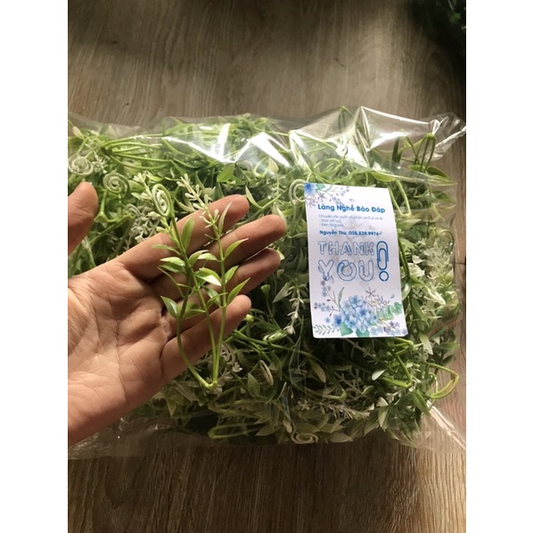 Cỏ điểm các loại 100g