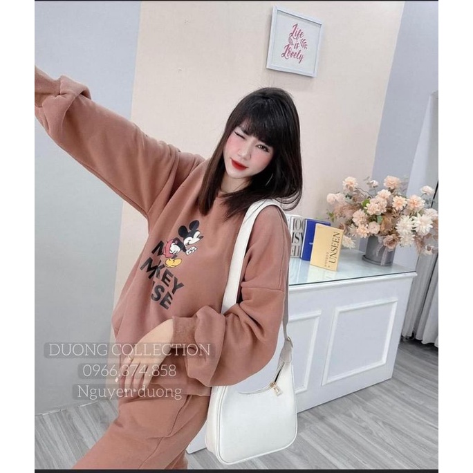 Bộ Nỉ mickey 3 màu