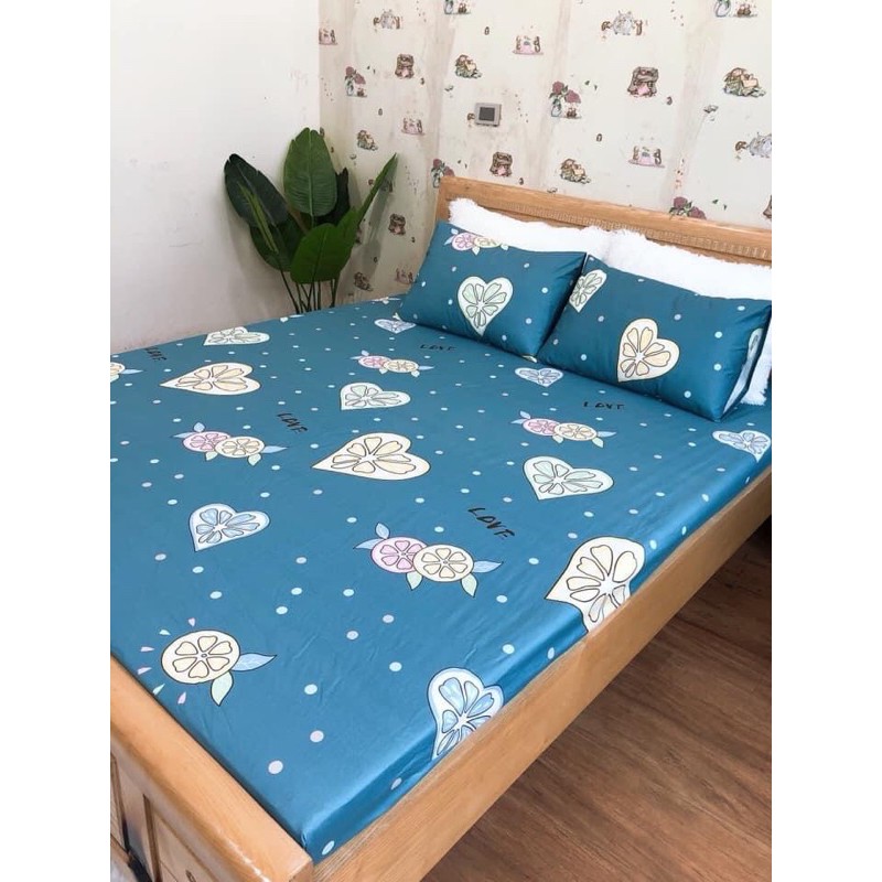 Sét ga chống thấm Cotton kèm vỏ gối đầu Amazing Bedding.