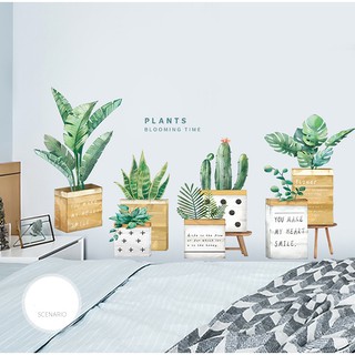 Decal dán tường chậu cây hộp