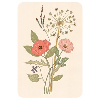 Bộ Bài Dream Decoder Cards (Guu Tarot Shop)