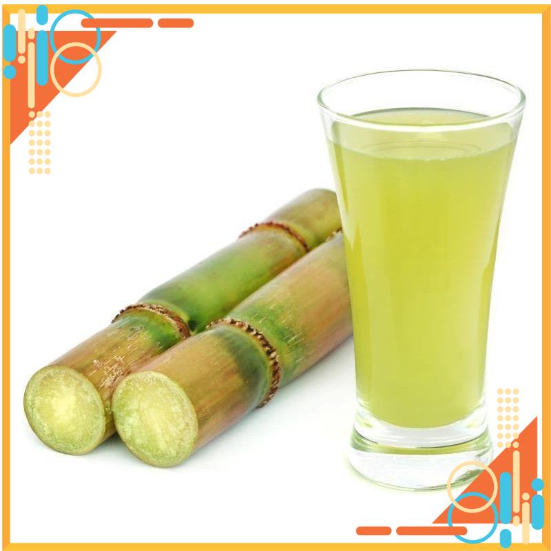 Hàng chất lượng loại I - combo 25 hom mía đường giống