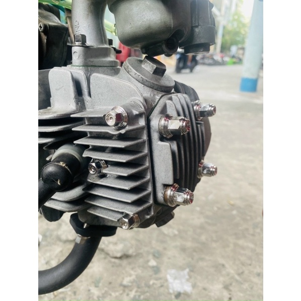 Ốc Salaya Mẫu thái Combo đầu bò Wave , futer , Funeo , Dream