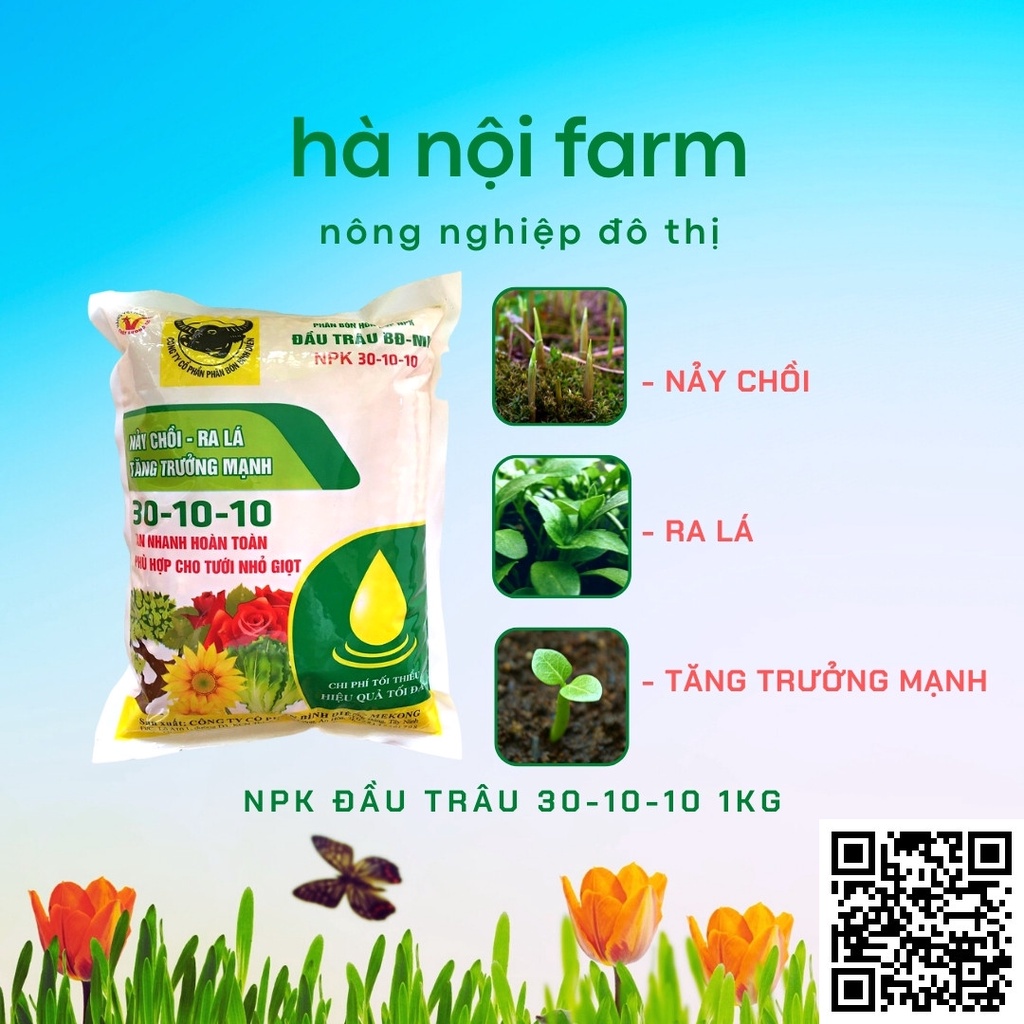 Phân bón hỗn hợp NPK Đầu Trâu 30-10-10 thúc ra rễ, nảy chồi, ra lá, phục hồi cây suy 1kg