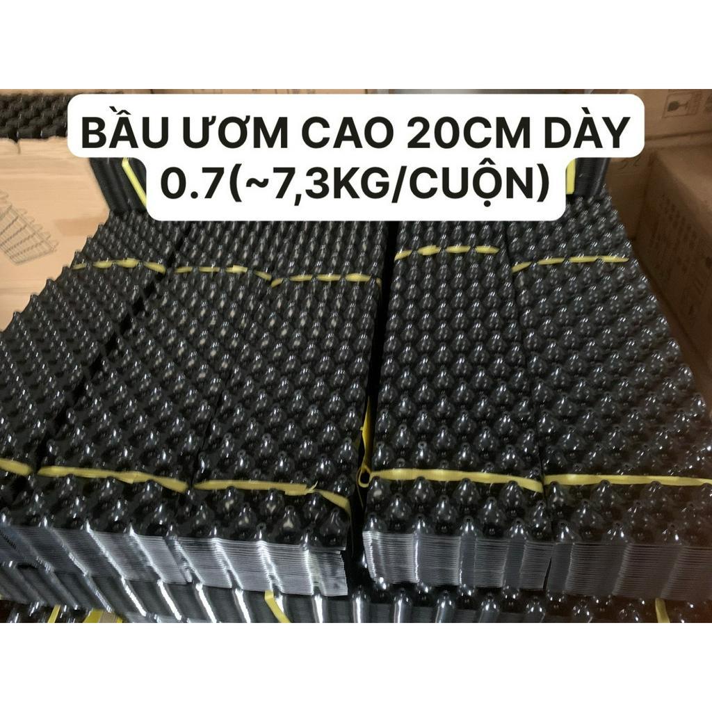 50M BẦU ƯƠM CAO 20CM DÀY 0.7 HÀNG LOẠI 1 TẶNG KÈM ỐC VÍT (7-7,5KG/CUỘN)
