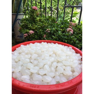 1kg hạt đác tươi sạch Phú yên