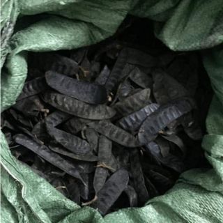 Bồ kết rừng( 1 kg)