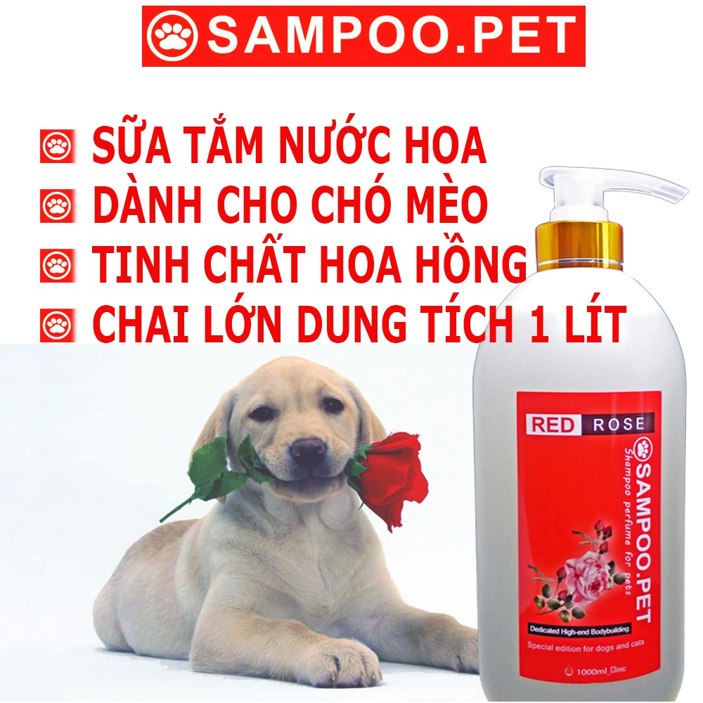 Sữa tắm chó mèo SAMPOO.PET loại sữa tắm nước hoa cho chó thơm quý phái sang trọng