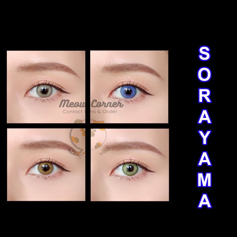 Lens Sorayama 4 màu đủ độ cận