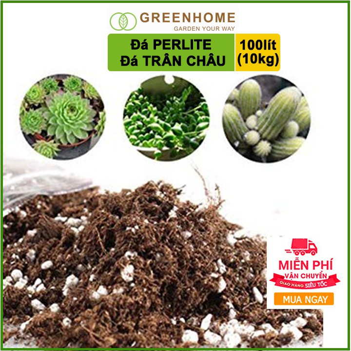 [Freeship 70K] Đá Perlite 100l (10kg), đá trân châu trồng hồng, sen đá, thuỷ canh giàu khoáng chất, tăng độ tơi xốp