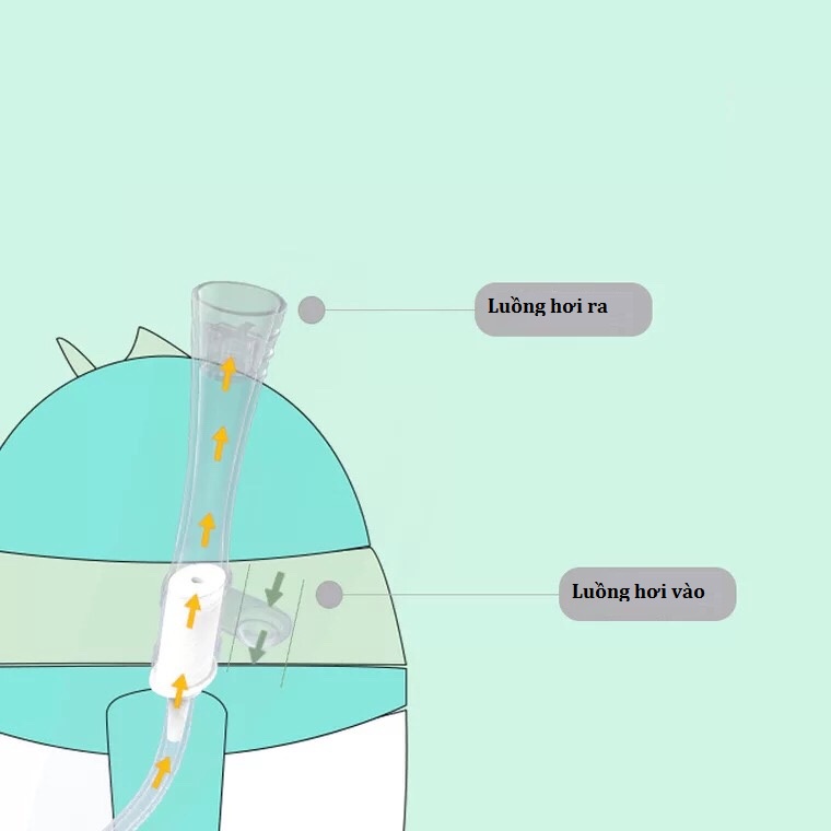 Bình tập uống chống sặc Little Bean và Xin Tiger (tăng cọ ống hút)