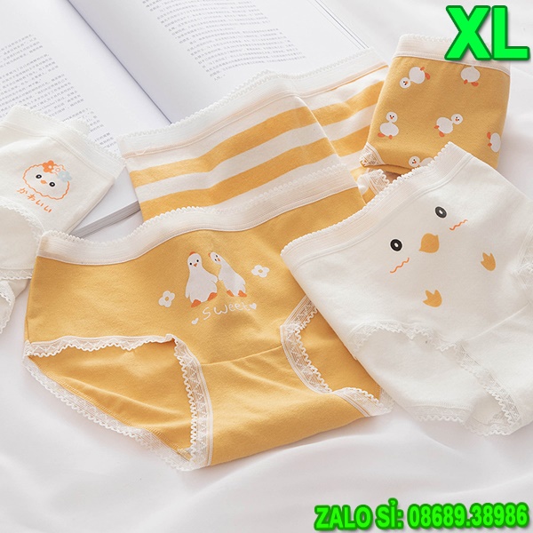 SỈ ZALO RẺ HƠN_ Quần Lót 5 Kiểu Kute Dễ Thương 5140 Size XL