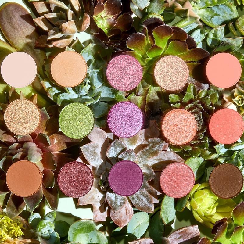 Colourpop ✨ Bảng phấn mắt 15 ô Garden Variety