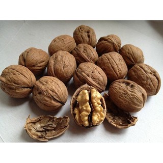 1,5kg Quả óc chó