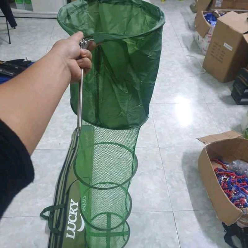 Rọng cá giá rẻ