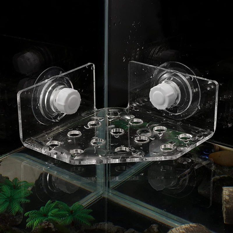 Giá Đỡ Bể Cá Bằng Acrylic San Hô Có Nút Hít 13 Phích Cắm