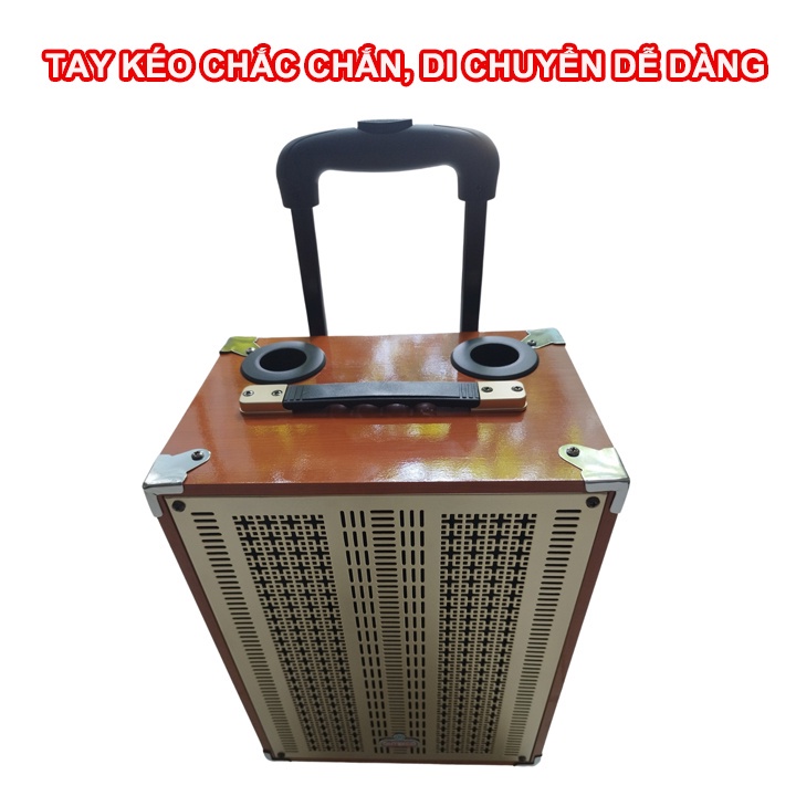 Loa kéo gỗ ONTEKCO 8002 kèm 2 micro không dây chuyên nghiệp, Bass 20 nhỏ gọn công xuất lớn