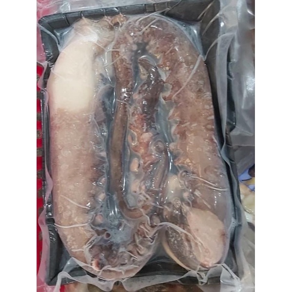 RÂU MỰC LÁ ĐẠI DƯƠNG   1 KG