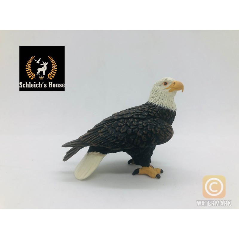 Mô hình động vật , đồ chơi con vật Safari Ltd chính hãng Đại bàng - Schleich House