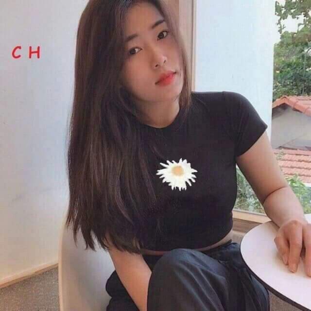 Áo croptop hoa cúc không chữ C&amp;H