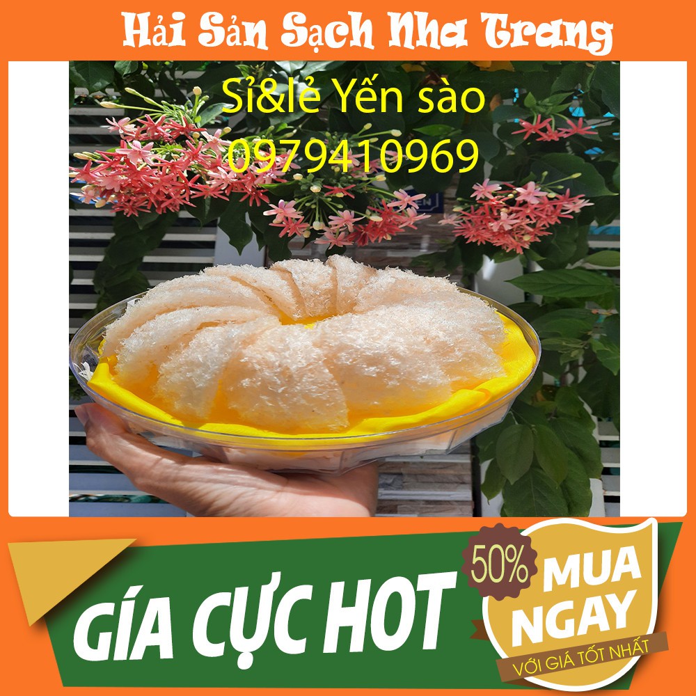 50gr Yến Vụn Sơ Mướp kết tổ Nha Trang. Tổ Yến Sào Tinh Chế tặng kèm táo đỏ, đường phèn, hạt chia