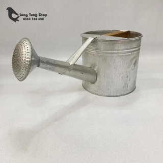 Bình tưới cây bằng sắt có vòi hoa sen
