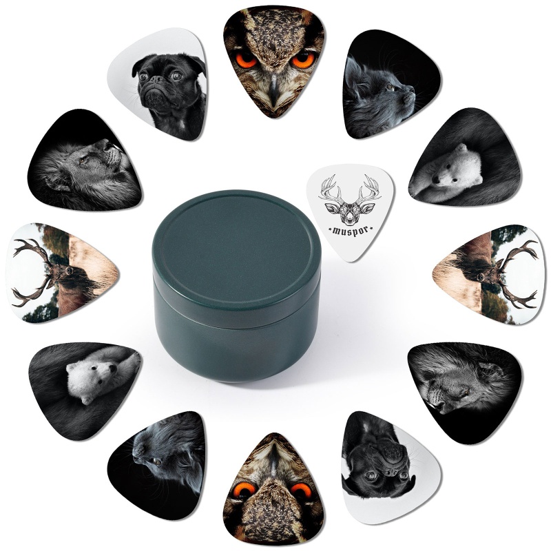 Hộp Thiếc Đựng Miếng Gảy Đàn Guitar 1 18X1 02 Cỡ Vừa Kèm Giá Đỡ Bằng Da