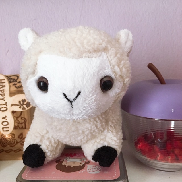 Gấu bông cừu trắng