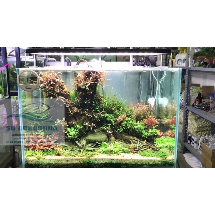 ĐÈN CHIHIROS WRGB2 45CM