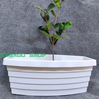 Chậu nhựa trồng cây hình thuyền dài 50cm siêu đẹp