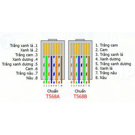 Kìm Bấm Mạng Đa Năng (màu xanh) - Thuộc Sản Phẩm Thiết Bị Mạng.