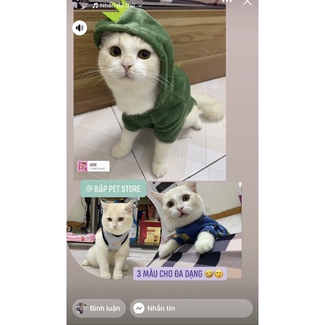 Bộ khủng long cho thú cưng😍❤️