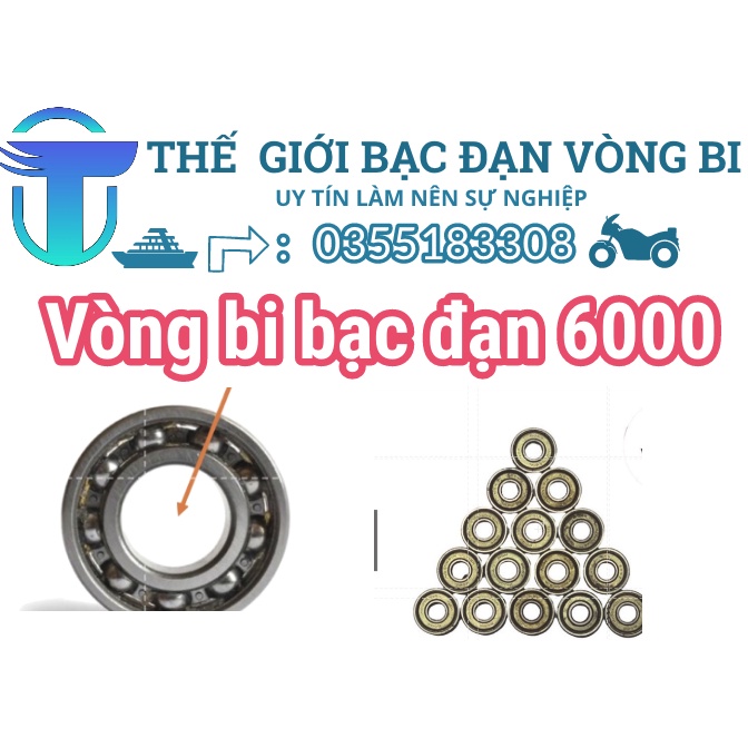 Vòng bi bạc đạn 6000 có nắp không nắp Koyo/RBI/KG/CNB