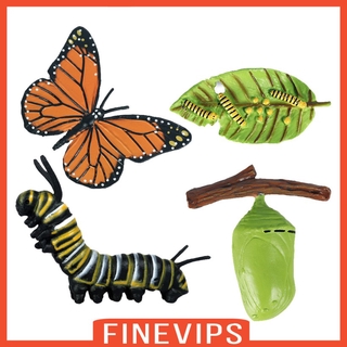Finevips Mô phỏng Vòng đời Nhân vật Đồ chơi tưởng tượng cho giáo viên trẻ em