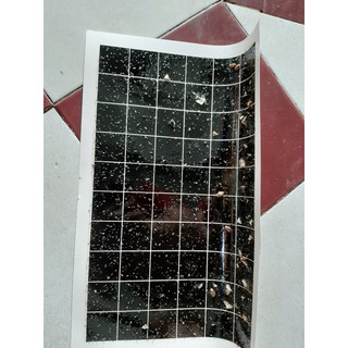 ĐÈN BẪY CÔN TRÙNG - 0984 953 267