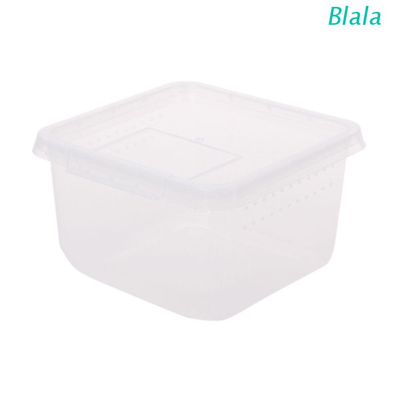 Hộp nuôi bò sát/ côn trùng/ bọ rùa/ động vật thiết kế tiện lợi dễ dùng