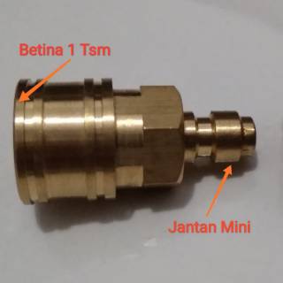 Đầu Chuyển Đổi Tsm Sang 1 Mini Chất Lượng Cao