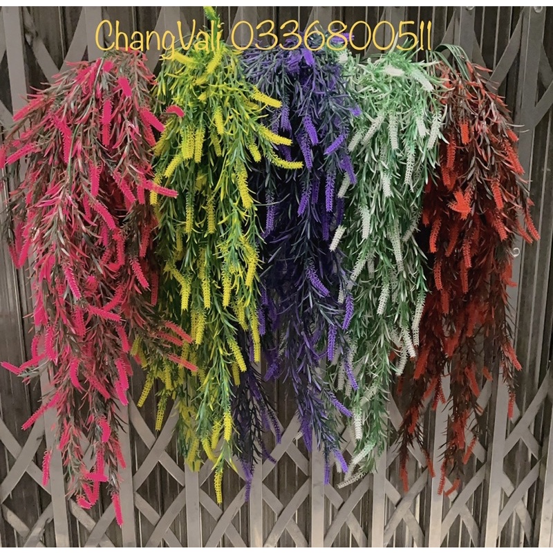 Cụm rủ treo tường-bụi rủ ớt trang trí,decor phong cách vintage