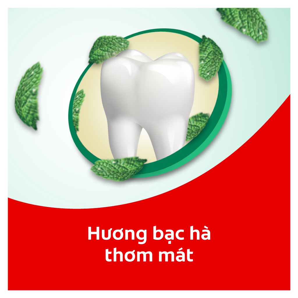 [Mã FMCGCOL giảm 8% đơn 250K] Chỉ nha khoa Colgate Total Dental Floss hư