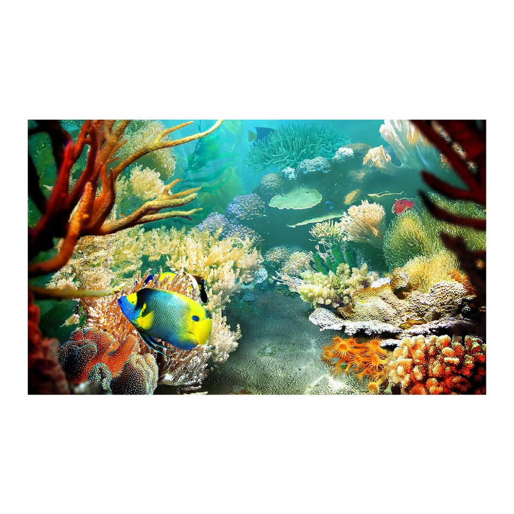 TRANH DÁN HỒ CÁ NHIỀU KÍCH THƯỚC_THIẾT KẾ NÀNG THƠ