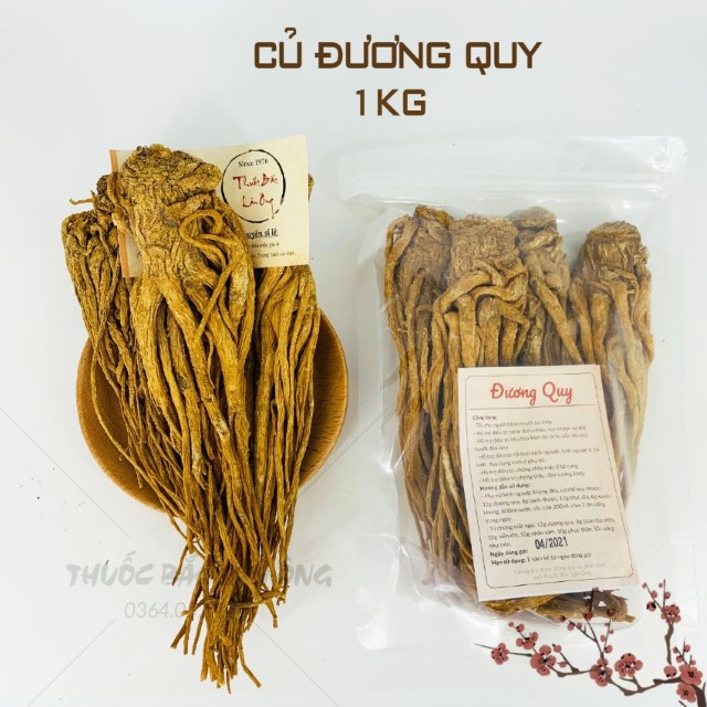 Đương Quy 1kg (Củ Đương Quy) - Củ To,Thơm