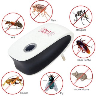 Máy đuổi côn trùng chuột gián tạo sóng siêu âm cao cấp