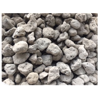 Đá nham thạch lông vũ, lọc bể cá 100gram