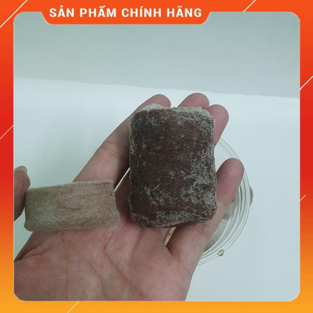 Viên nén ươm cây, Viên nén ươm hạt trồng cây, Viên nén xơ dừa MSP84688