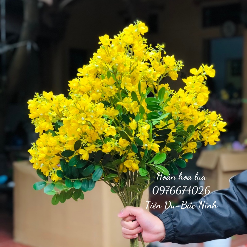 Cành hoa muồng vàng, phù hợp cắm bình, lên cây decor mọi không gian nhà cửa