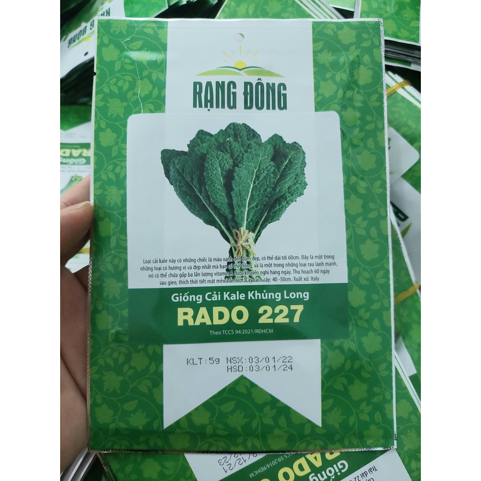 Hạt giống cải Kale khủng long, đóng gói 5gr