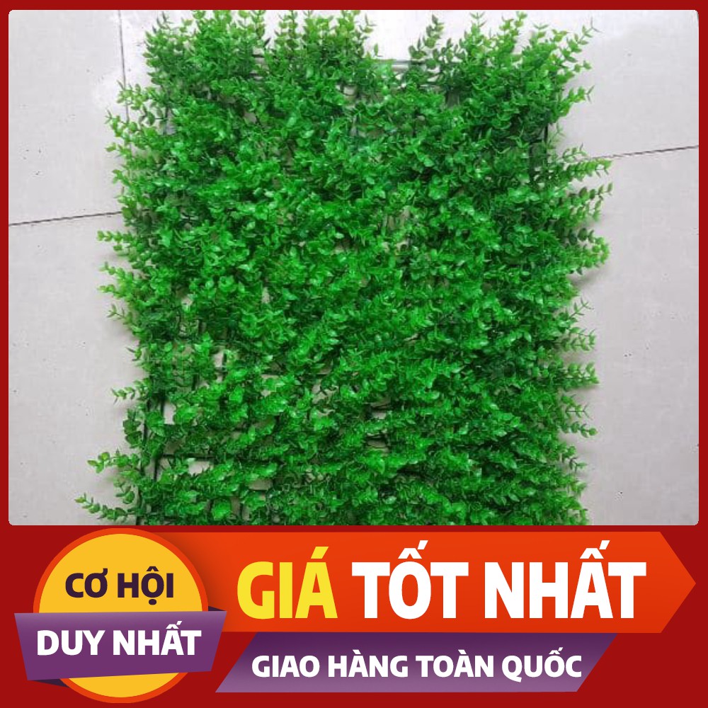 Thảm Cỏ Tai Chuột Nhựa Pvc Trang Trí, Thảm Cỏ Nhân Tạo Treo Tường KT 40x60Cm